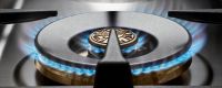 Логотип Bertazzoni латунный для газовой конфорки вок